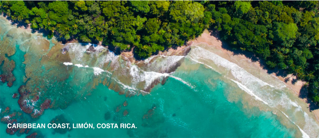 Cahuita National Park is a terrestrial and marine national park in the Caribbean La Amistad Conservation Area of Costa Rica located on the southern Caribbean coast in Limón Province, connected to the town of Cahuita.