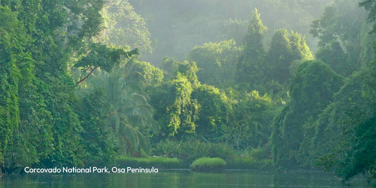 Corcovado National Park is a reserve on southwest Costa Rica's Osa Peninsula that protects varied tropical ecosystems. Considered one of the world's most biodiverse regions, its wildlife includes scarlet macaws, tapirs, jaguars and squirrel monkeys. Hiking trails follow coastal and inland routes through habitats ranging from Pacific beaches and mangrove swamps to lowland and montane rainforests.