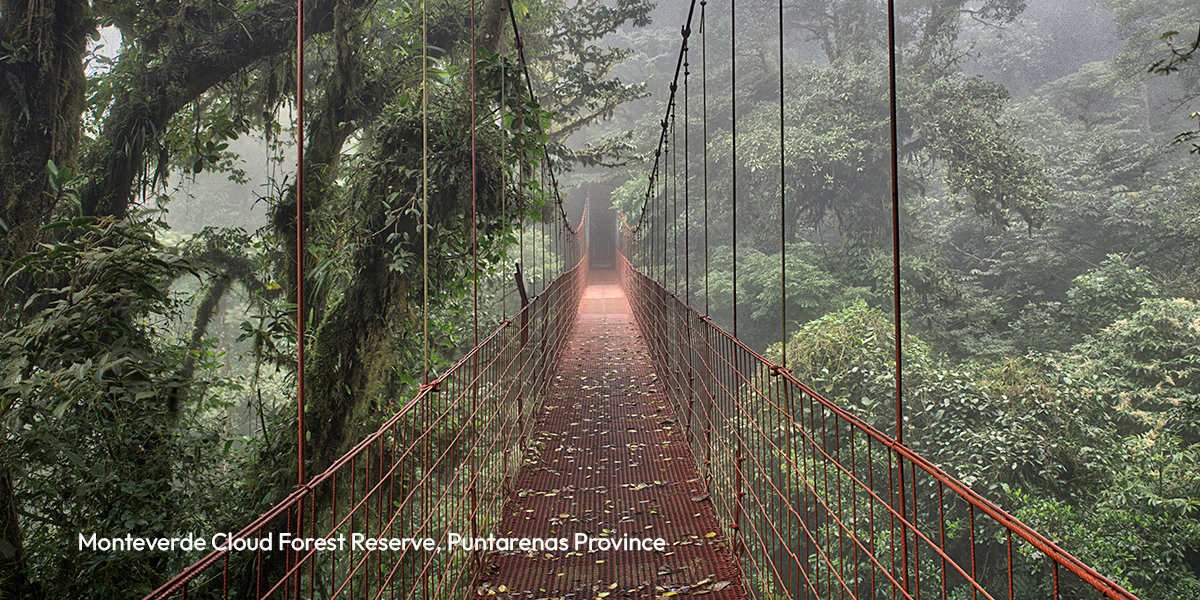 The Monteverde Cloud Forest Reserve is a Costa Rican reserve located along the Cordillera de Tilarán within the Puntarenas and Alajuela provinces.